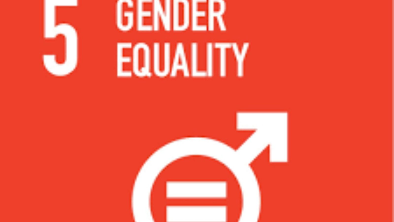 The Role of Policy in Gender Equality