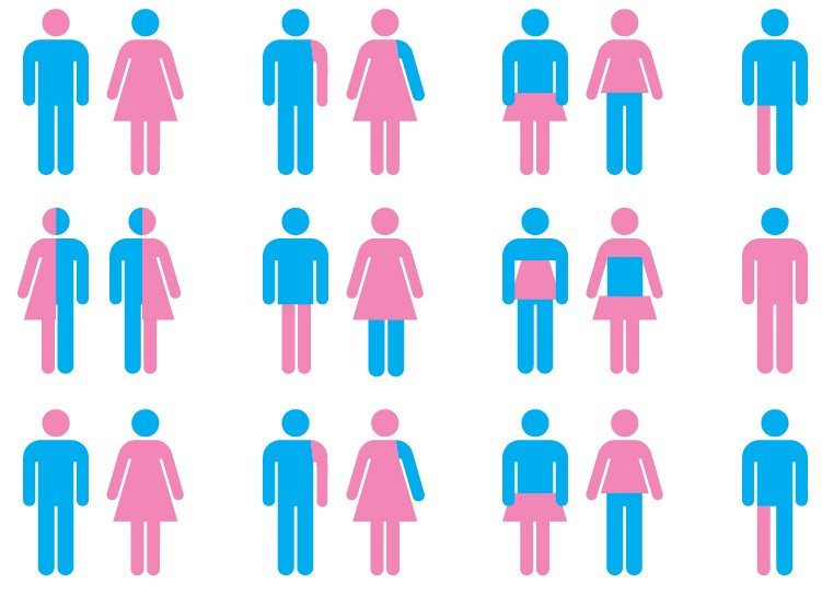 Understanding Modern Gender Identities