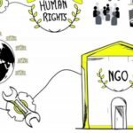 The Role of NGOs in Human Rights