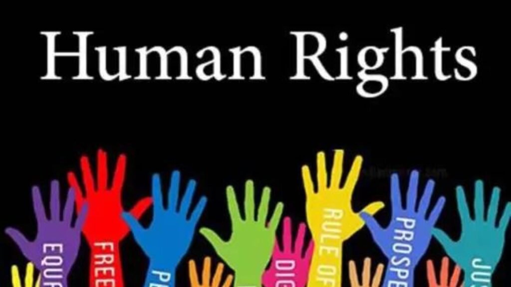 The Role of NGOs in Human Rights