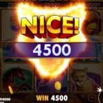 Wolf Winner Casino Instant Deposits Guide (1)